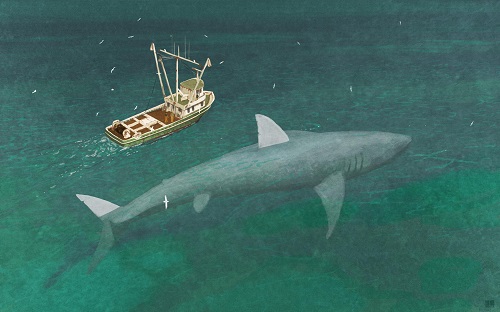メガロドンより大きいメガロドン 巨大なサメ型uma目撃情報まとめ フルフルネット