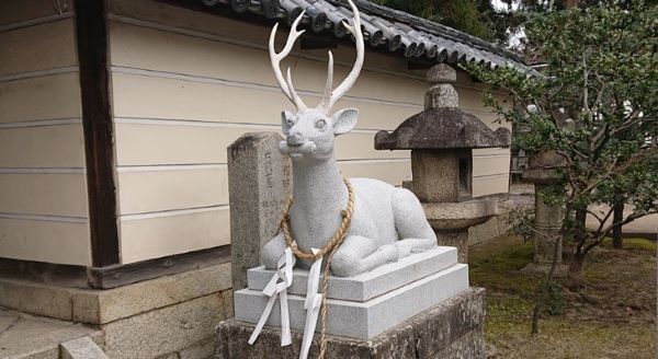 狛犬・・ではない？神社に棲息する多彩な狛〇動物たち | フルフルネット